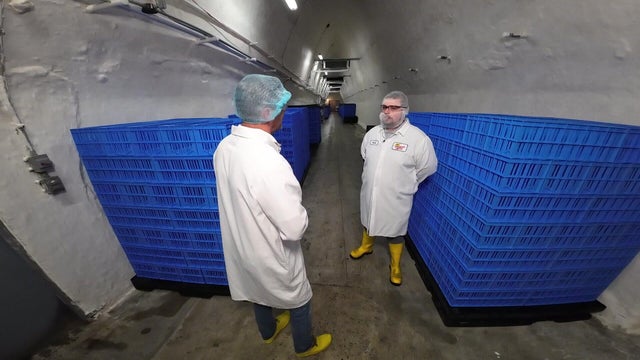10p-pkg-fmn-faribault-cheese-caves-wcco8hsp-00-01-1326.jpg 