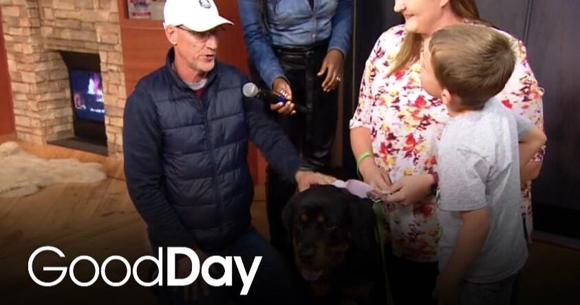 30 Years of Good Day: Tears, Triumphs, and Everything In Between - Good ...