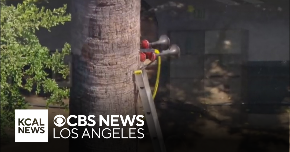 Van Nuys man blares train horn amid 10-year feud with LAPD 