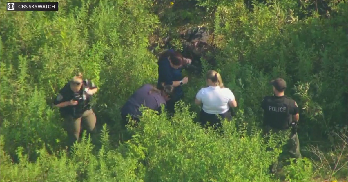 Body found in Naperville believed to be that of missing woman 