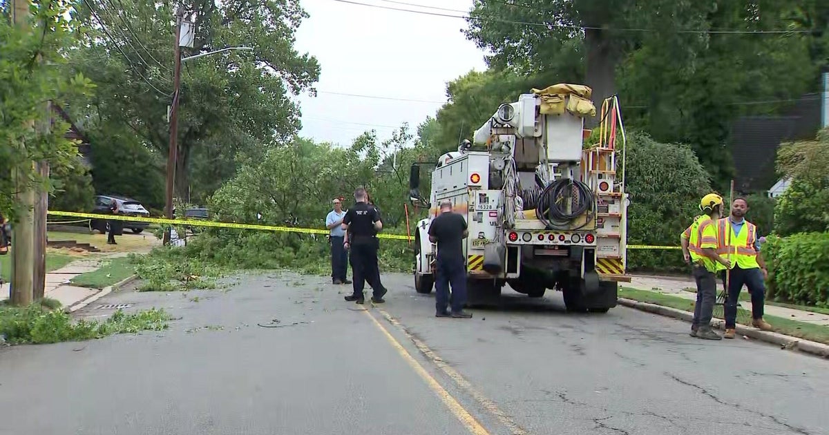 Multiple injuries after tree falls in Teaneck, N.J. 