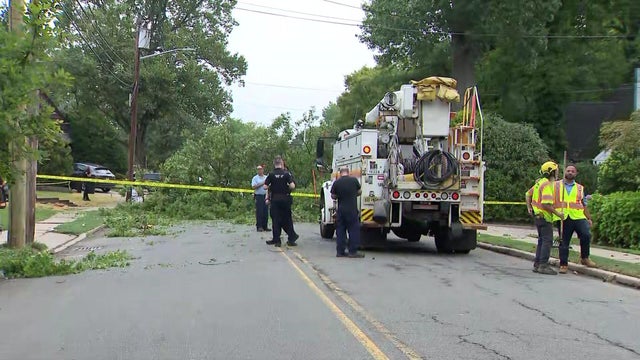 teaneck-tree-down-10a-v-wcbsergr-hi-res-still.jpg 