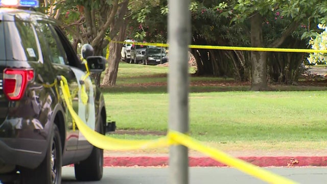Crime scene police lights 