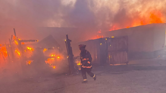 tracy-fire-livestock-killed.png 