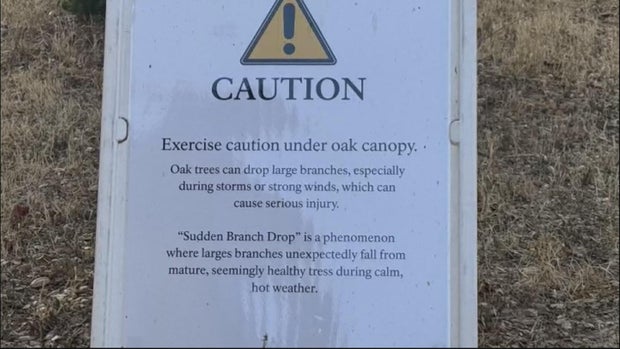 branch-stuff-signs.jpg 