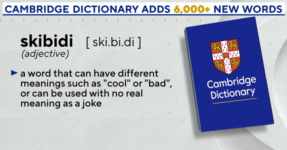 Internet slang like "skibidi" and "delulu" added to Cambridge Dictionary