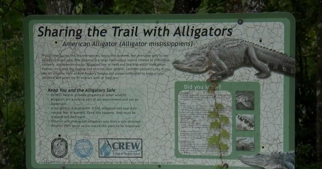 Florida woman attacked by alligator on walking trail in Collier County