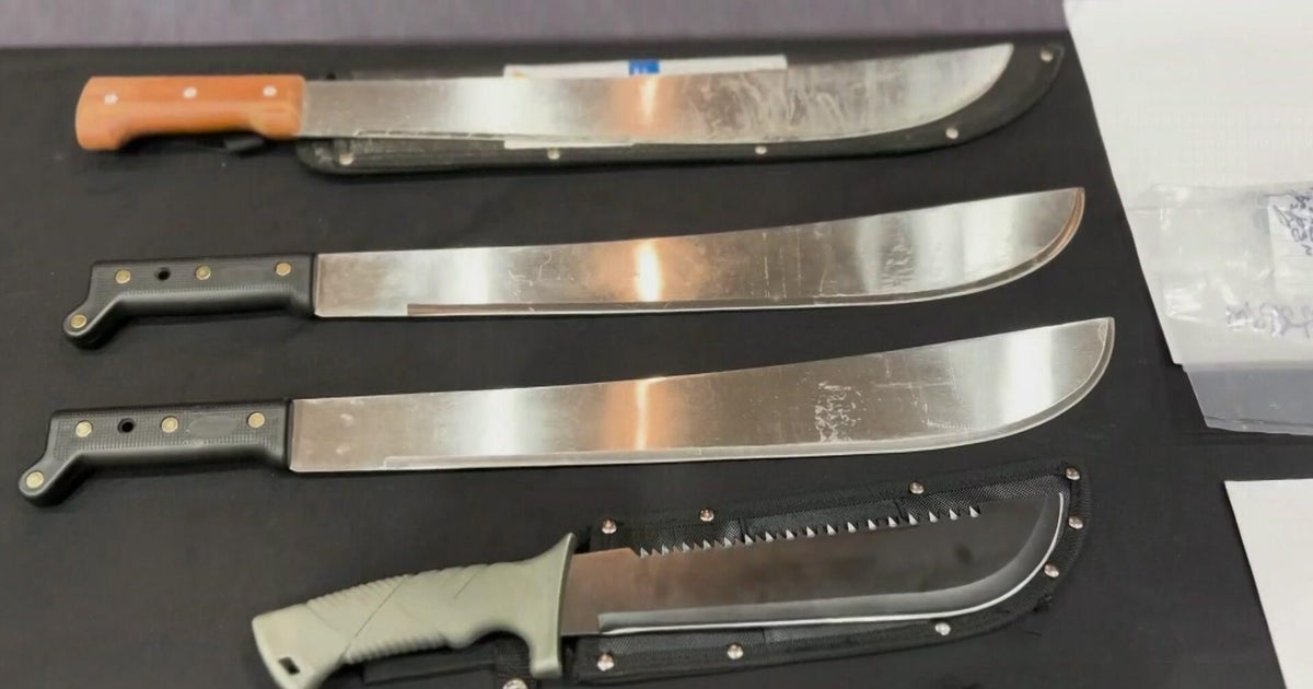 Dozens of alleged gang members on Long Island in ICE custody, officials say 