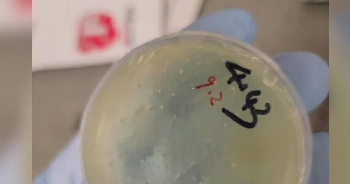 Chinese PhD Student Pleads No Contest to Smuggling Biological Materials into U.S.