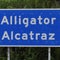 Judge dismisses part of a lawsuit against "Alligator Alcatraz"