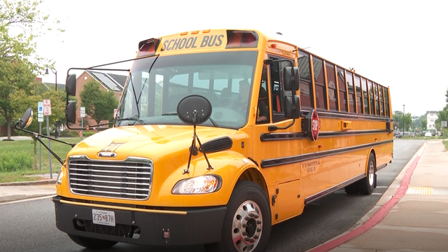 bus-safety.png 