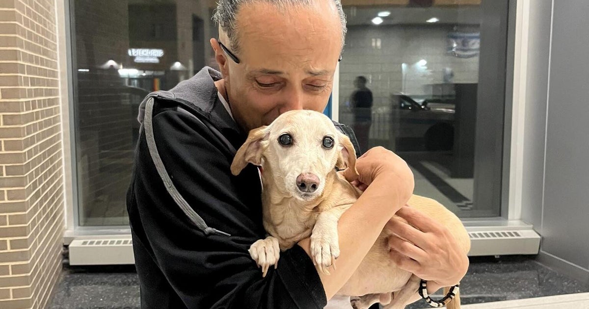 Stolen service dog, Bam Bam, returned to blind man in Logan Square 