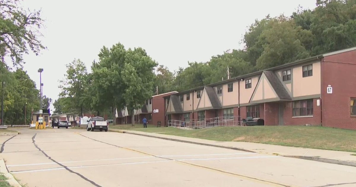 Videos showing people taping mice to fireworks in Pittsburgh neighborhood under investigation 