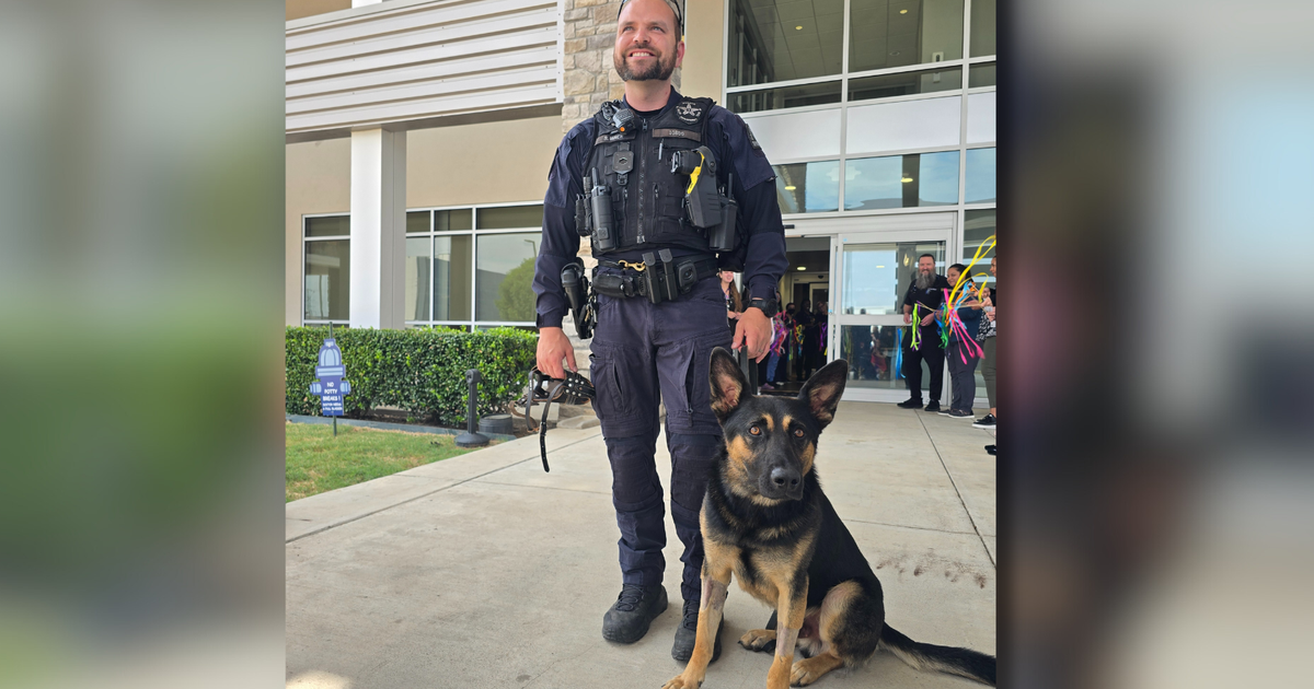Dallas Police K-9 Max released from emergency vet after suffering heat exhaustion 