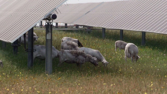 c5-shamlian-eoa-solar-grazing-transfer-frame-1077.jpg 