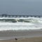 Hurricane Erin causes dangerous rip currents as it churns in the Atlantic alongside East Coast