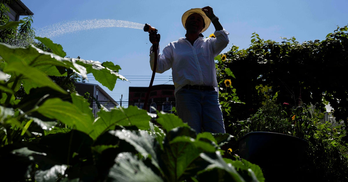 Inexperienced areas essential to combating report warmth in marginalized communities