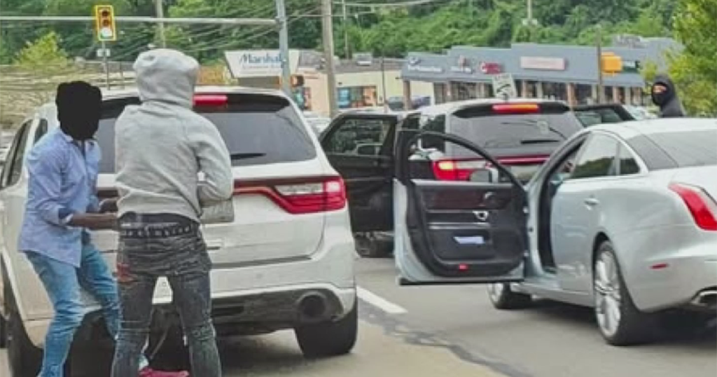 Police searching for suspects in armed carjacking near Greentree Shopping Center 