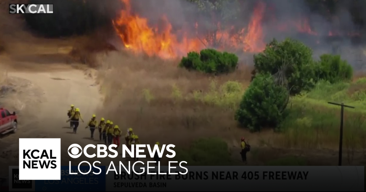 Firefighters quickly contain brush fire burning near 405 Freeway in ...