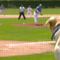 Minnesota hunting dog Bruno chases down foul balls