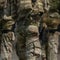 Armed National Guard troops seen in D.C. as Trump weighs where to send them next