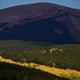 Colorado fall colors arriving early -- here's when to catch peak foliage 