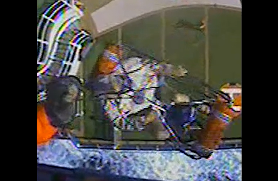 video-screenshot-2025-08-26-094016.png 