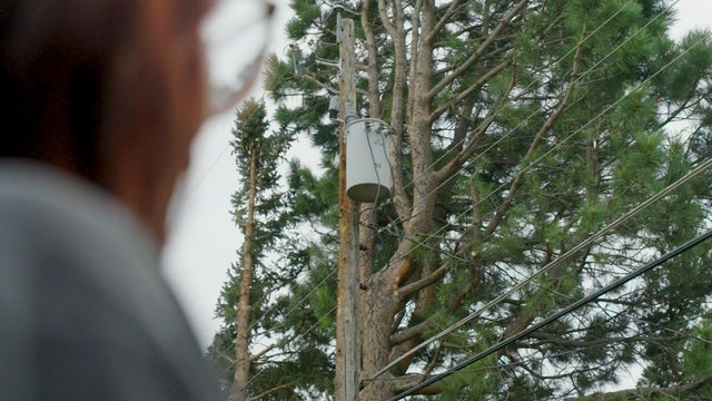 power-lines.jpg 