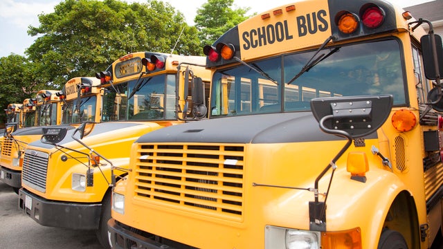 School buses 