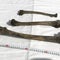 Bones found at site in Japan where forced laborers died in WWII