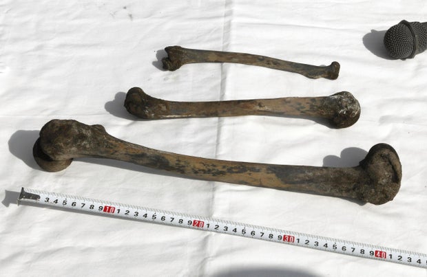 Japan Wartime Mine Bones 