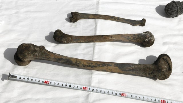 Japan Wartime Mine Bones 