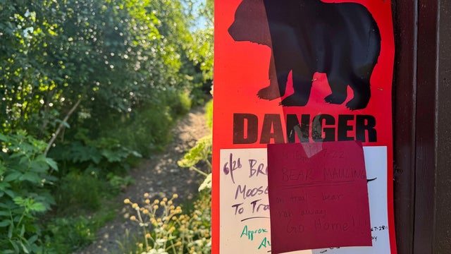                        Bear attacks jogger in Alaska, drags her 100 yards                   
