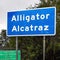 "Alligator Alcatraz" could soon be empty, email suggests
