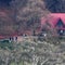 Manhunt continues for well-armed survivalist suspected of killing 2 cops