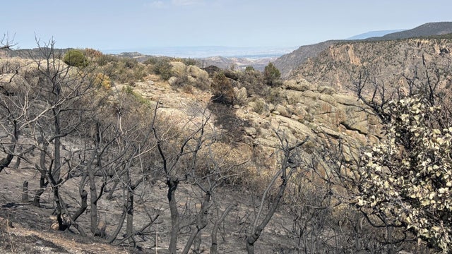 south-rim-fire-montrose-county.jpg 
