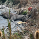 Boulder County rescue crew saves horse, owner trapped in the mud 