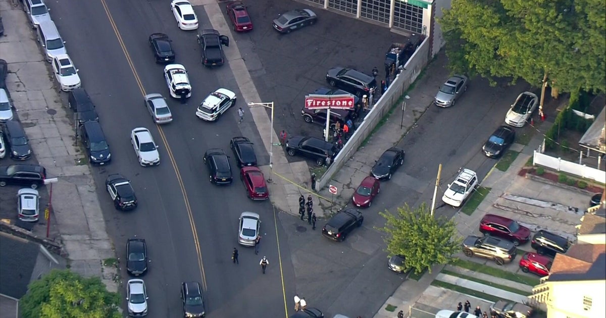 Attempted Armed Robbery Suspends Metro-North Service Mount Vernon