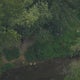 Dozens of dead fish found in Pennsylvania creek after possible spill 