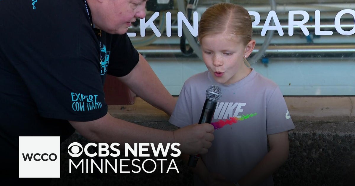 2025 State, Street, Country Fairs Open With Large Crowds, Varied Events