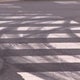 Video shows violent Secaucus, N.J. street takeover 