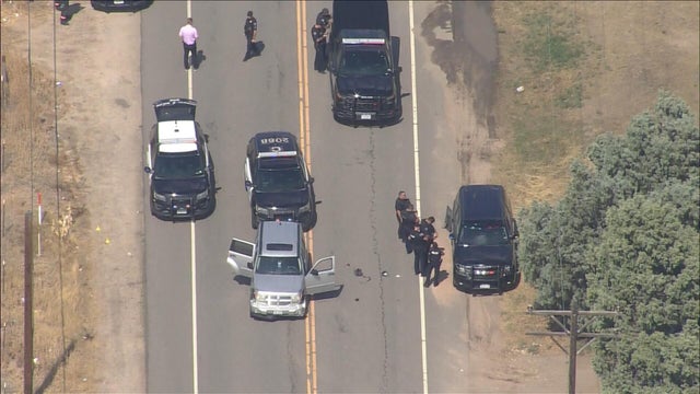 pursuit.jpg 