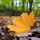 Preview of fall begins Wednesday in Twin Cities as cooler temps arrive 