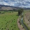 c5-kent-eoa-regenerative-ranching-090325-transfer-frame-252.jpg 