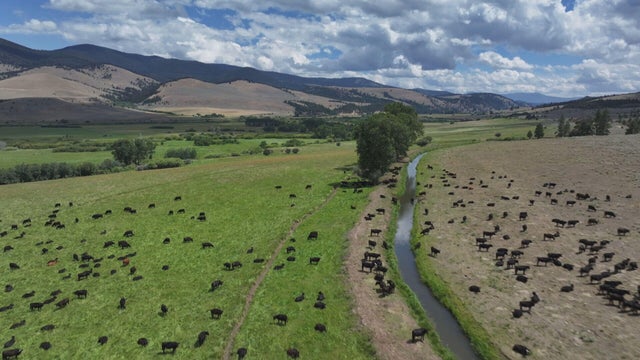 c5-kent-eoa-regenerative-ranching-090325-transfer-frame-252.jpg 