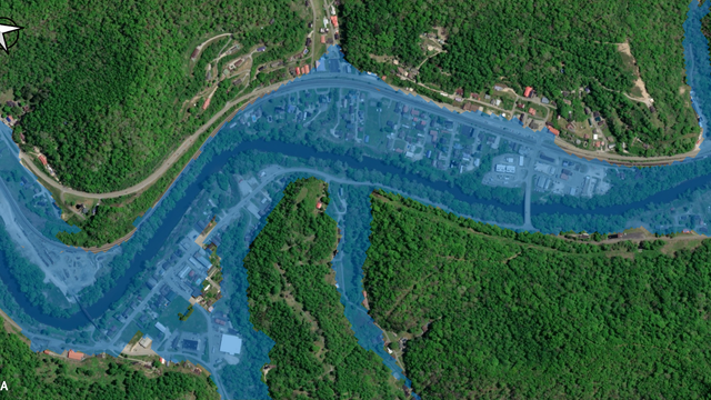 warfield-ky-fim.png 