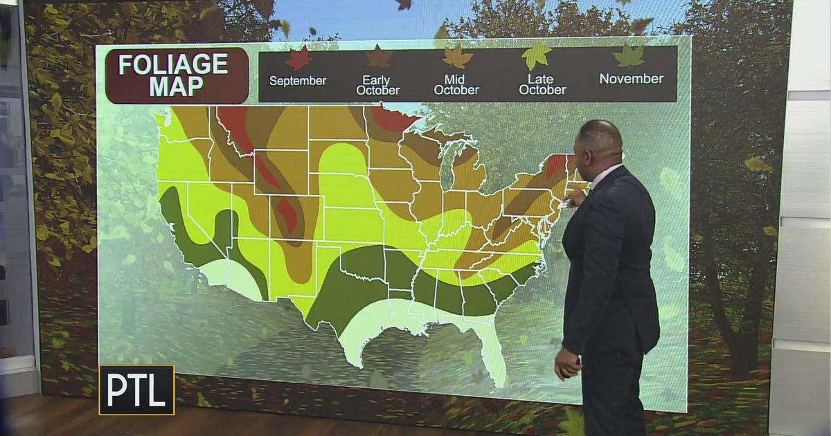 Ron's fall foliage predictions - CBS Pittsburgh
