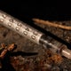 Residents share horror stories of drugs, crime, human waste in South End 