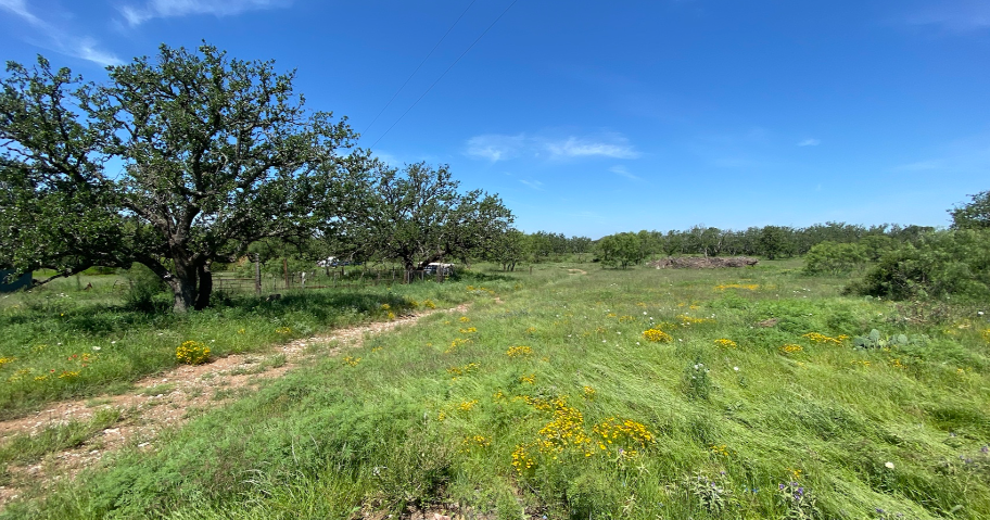 Texas ranch owners raffling off 76-acre ranch for less than a steak ...