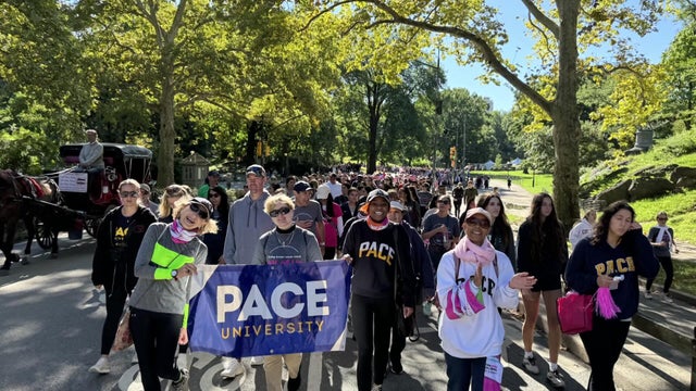Pace University's team at the Komen Greater New York City Race for the Cure 